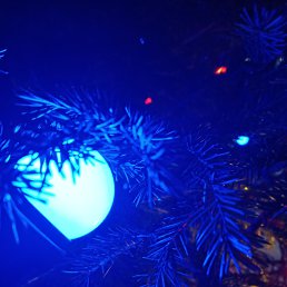 ���� ...����, ������, 38 ��� - ��������� 30 ����� 2023