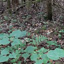 ���� �����, �������, 56 ��� - ��������� 1 �������� 2023 � ������ ���� ����������