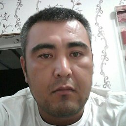 ����, �������, 37 ���