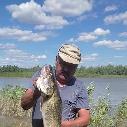 ���� ��������, ����, 60 ���