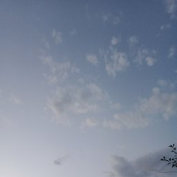 �����, ������, 38 ���