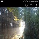 ���� ������� �������, ������, 52 ���� - ��������� 1 ������ 2023 � ������ ���� ����������