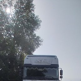 �����, ����, 41 ���