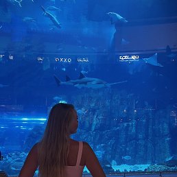 �������, ������, 39 ���