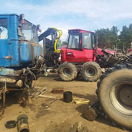 ������, ������, 43 ����