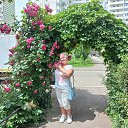 ���� �����, �����, 66 ��� - ��������� 30 ��� 2023 � ������ ���� ����������