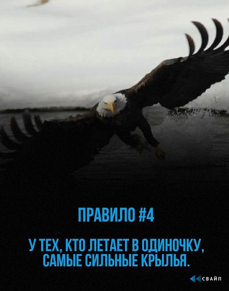 Чтбыбыепт,нyжнпрйтичерезтрyднстисейчас. Надо думать, чтоб разбогатеть, но никак не наоборот. - 4