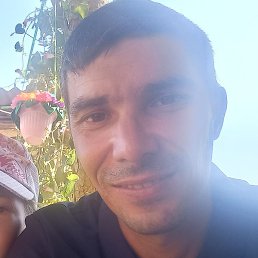 �������, �������, 37 ���