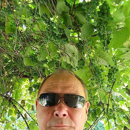 ����, ������, 55 ���