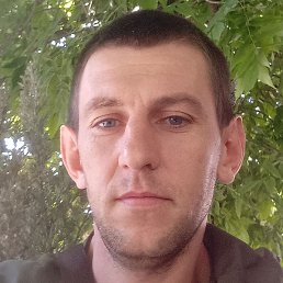 ����, �����������, 37 ���