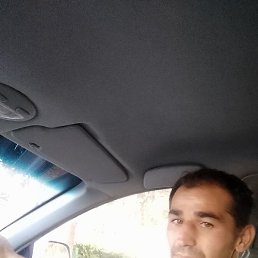 ����, �������, 37 ���