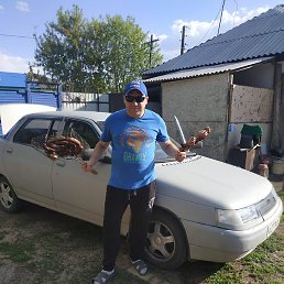 ����, �������, 46 ���