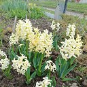 ���� ��������, ��������, 51 ��� - ��������� 7 ��� 2023