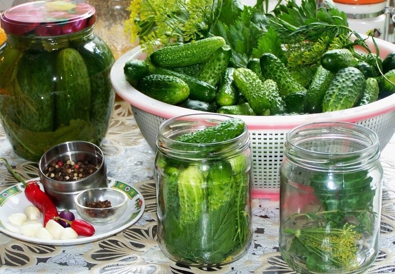 ОГУРЦЫ ИЗУМРУДНЫЕ | ПРИКОСНОВЕНИЕ ДУШИ | Фотострана | Пост №2627132572