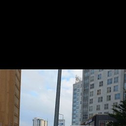 ���������, �����, 33 ����