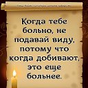 ���� ��������, ����������, 36 ��� - ��������� 11 ���� 2023 � ������ ���� ����������