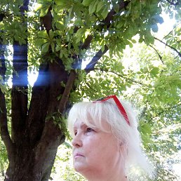 �������, �����, 63 ����