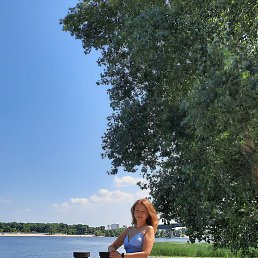 ��������, �����������, 40 ���