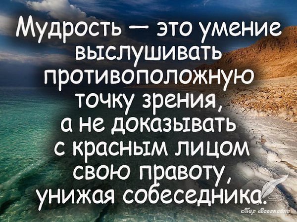 Lunapet - 11  2023  21:01