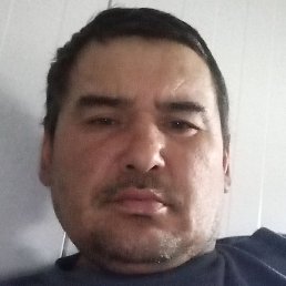 �����, �����������, 38 ���