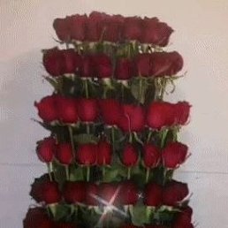 ���� �����, �������, 48 ��� - ��������� 7 ��� 2023
