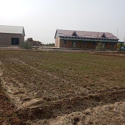 Murodjon, ������, 28 ���