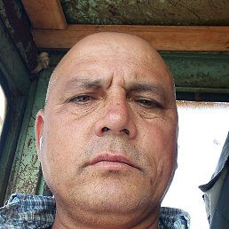 �������, ���������, 46 ���