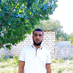 ���� ����qam, ����, 37 ��� - ��������� 8 ������� 2023