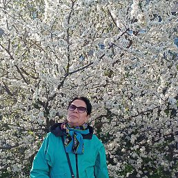 �������, �����-���������, 70 ���