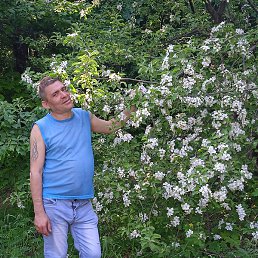 ������, ������, 37 ���