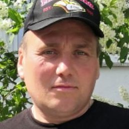 �������, ������, 46 ���