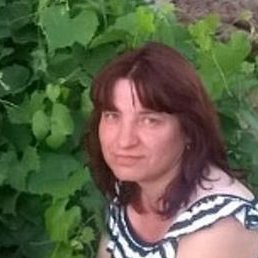 �����, ���������, 49 ���