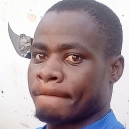 David, �������, 28 ���