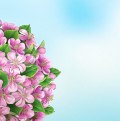 ���� Anastasiia, ���������, 22 ���� - ��������� 16 ��� 2023 � ������ ������ �� ������� 1�