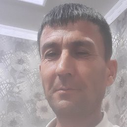 �������, �����, 49 ���