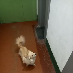 ���� �������, �����, 60 ��� - ��������� 22 ������� 2023