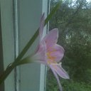 ���� �������, ������� - ��������� 10 �������� 2023 � ������ ���� ����������