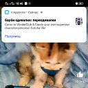 ���� Sabrina, �������, 60 ��� - ��������� 20 ������� 2023 � ������ ���� ����������