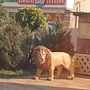 ���� ����, ���������, 37 ��� - ��������� 29 ���� 2023