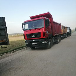 ���� ������, �����, 56 ��� - ��������� 19 ������� 2023