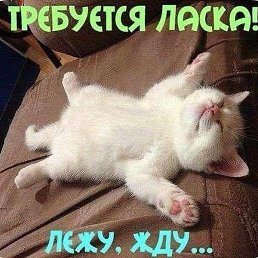 ��������, ������ ��������, 40 ���