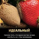  Andrey, - -  25  2023    