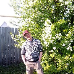 ����, ������, 39 ���