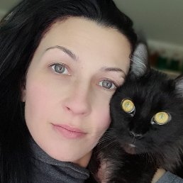 ���������, ������, 41 ���