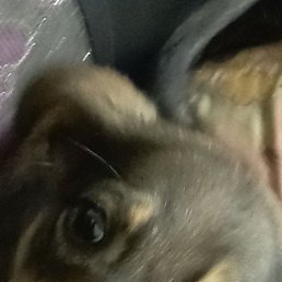 ������, ������, 30 ���