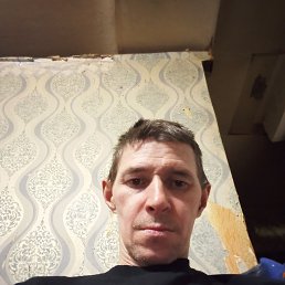 , 40, 