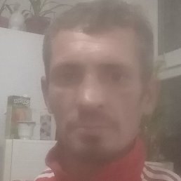 ���������, �������, 44 ����