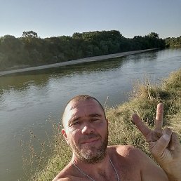 ������, ���������, 40 ���