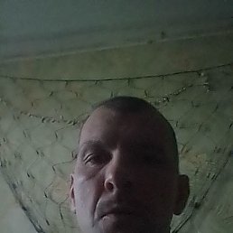 , 40 , 