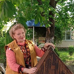 ���� �������, ����, 66 ��� - ��������� 8 ��� 2023